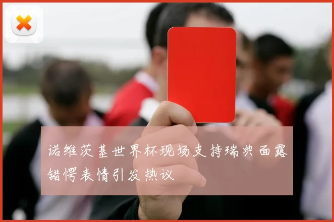 诺维茨基世界杯现场支持瑞典面露错愕表情引发热议
