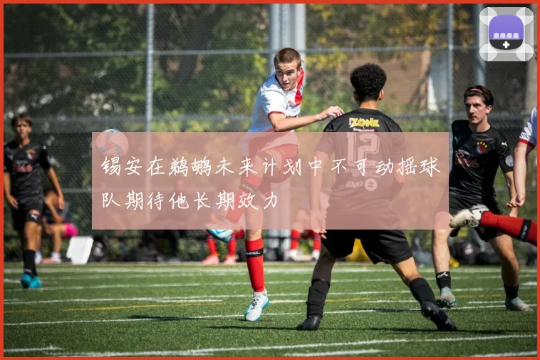锡安在鹈鹕未来计划中不可动摇球队期待他长期效力
